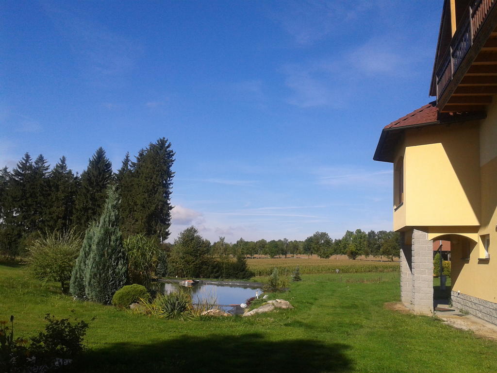 Penzion Stary Dvur Nové Dvory Exterior foto